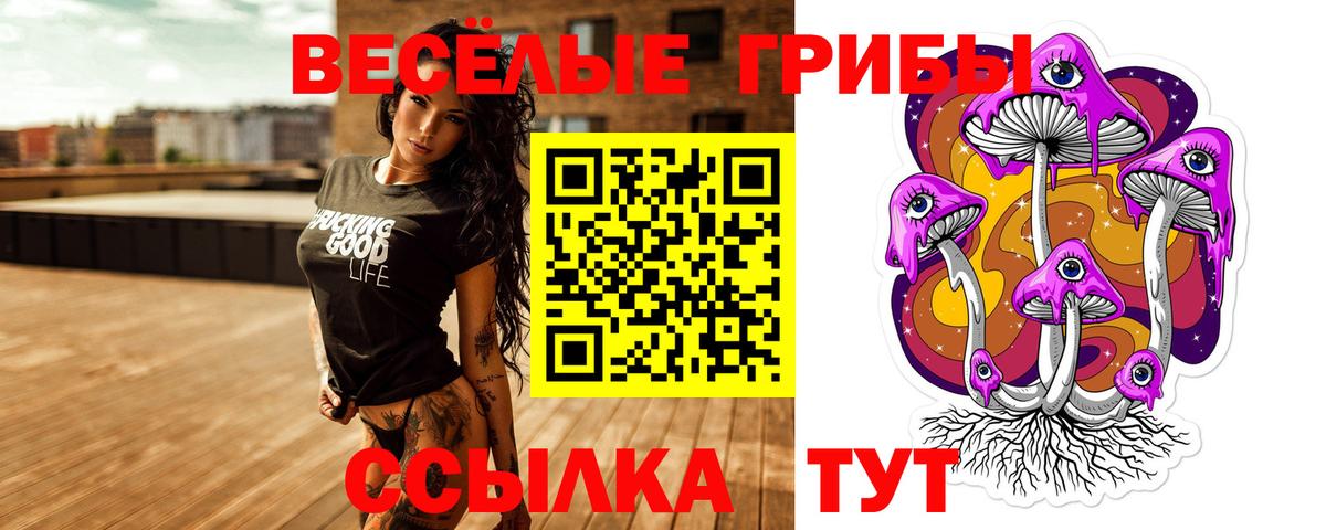 Псилоцибиновые грибы Cubensis Серов