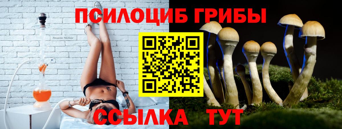 Псилоцибиновые грибы мицелий  Вход с VPN  Псилоцибиновые грибы Cubensis  Серов 